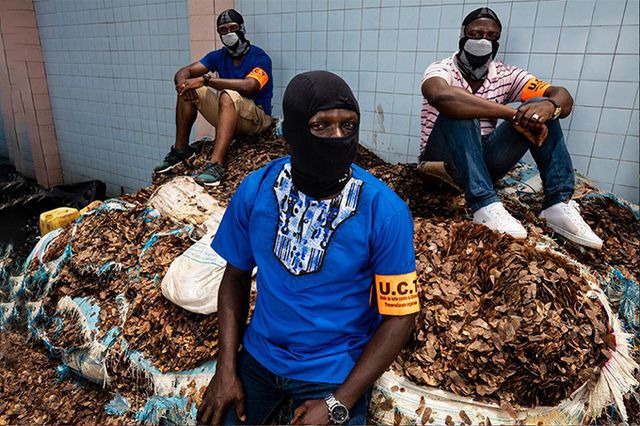 Фотографії, що вражають: названі фіналісти World Press Photo 2020 - фото 388622