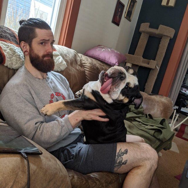 Не час нудьгувати: епічні фото, чому варто завести собаку - фото 388687