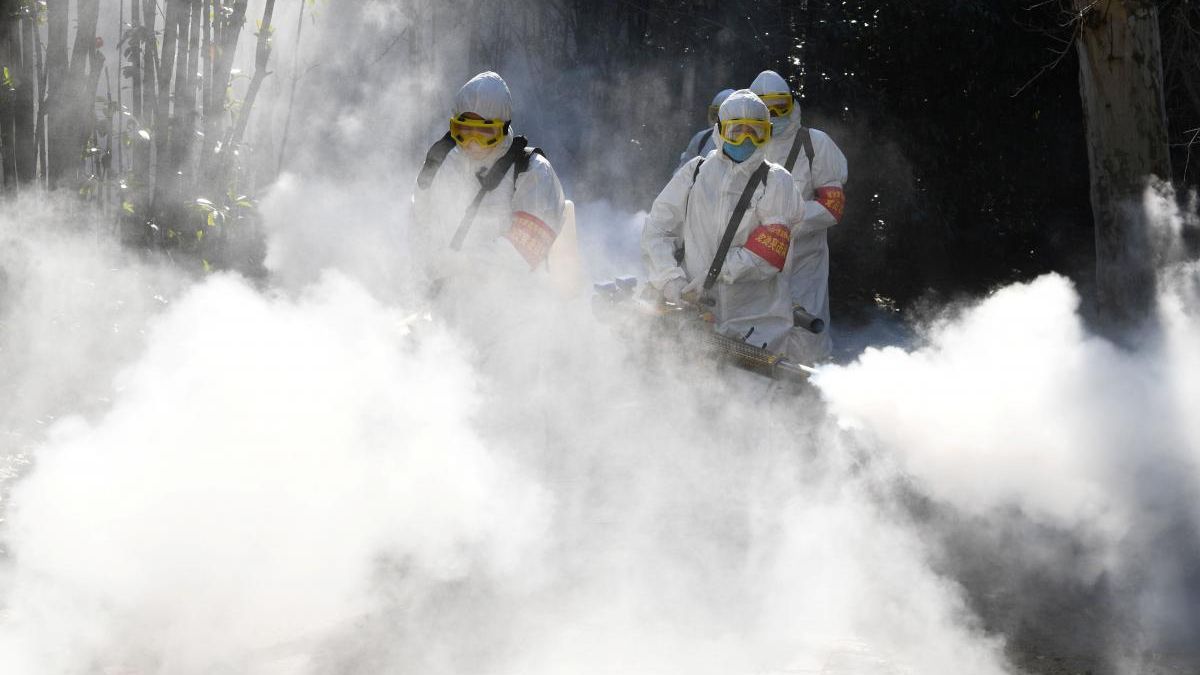 Як розпізнати коронавірус - фото 1