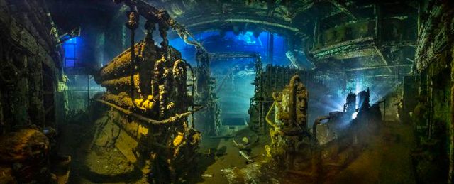 Названо переможців конкурсу підводної зйомки: кадри заворожують - фото 389090