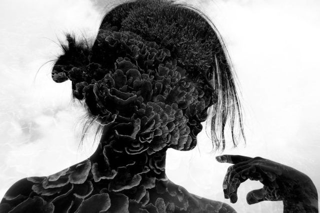 Названо переможців конкурсу підводної зйомки: кадри заворожують - фото 389094