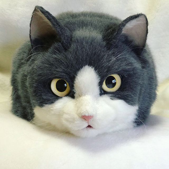 Дизайнер робить сумки у вигляді дуже реалістичних кішок: фотофакт - фото 389118