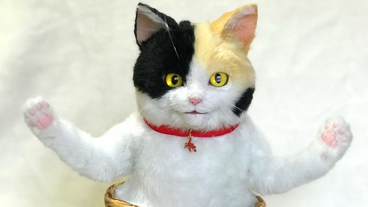 Дизайнер робить сумки у вигляді дуже реалістичних кішок: фотофакт