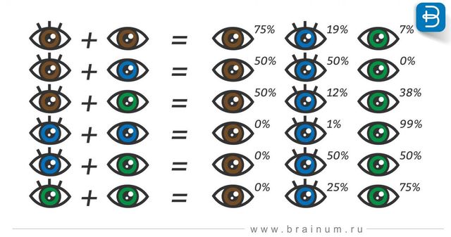 Ці фактори впливають на колір очей у людини - фото 389185