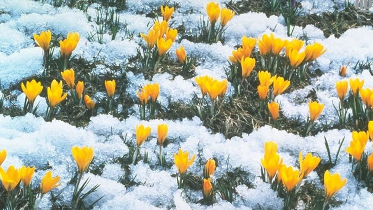 2 березня 2020 – яке сьогодні свято: традиції, заборони і прикмети