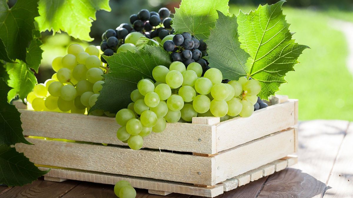 Названі продукти, які повернуть тиск у норму