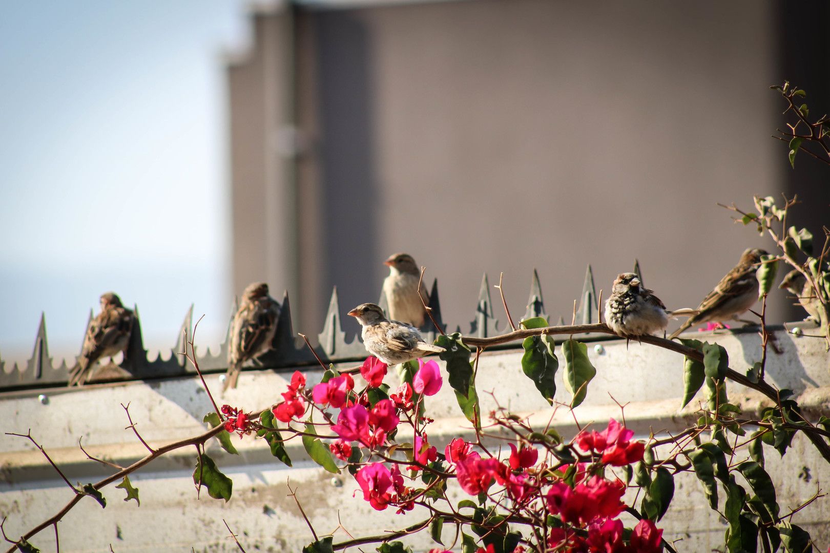 Жарти від учених NASA - фото 1