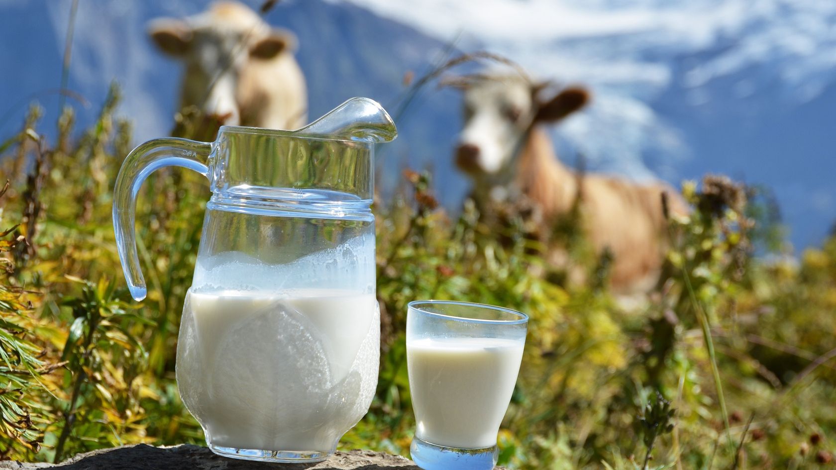 Молоко корисне для кісток - фото 1