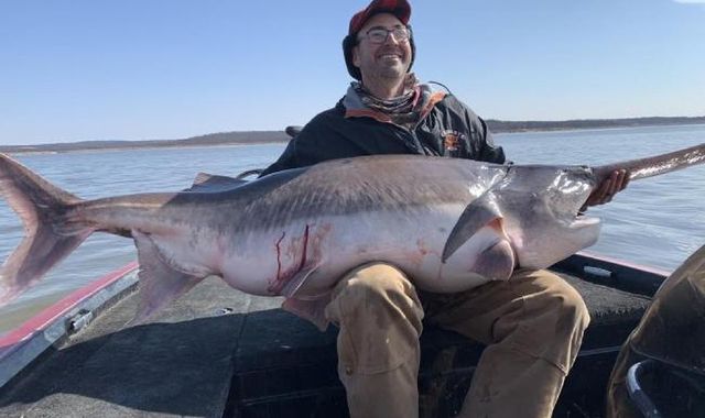 В озері Кістон у США виловили рекордно велику рибу: фотофакт - фото 389793