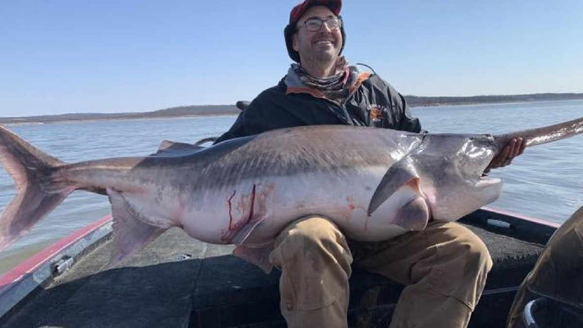 В озері Кістон у США виловили рекордно велику рибу: фотофакт - фото 1