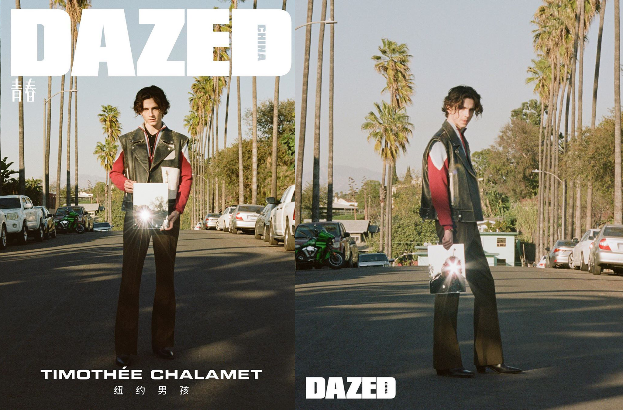 Король стилю: Тімоті Шаламе знявся для журналу Dazed China