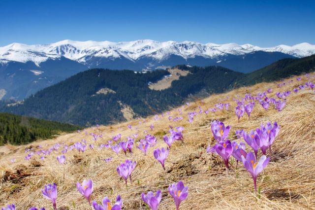 8 березня в Україні: де провести незабутні вихідні - фото 390293