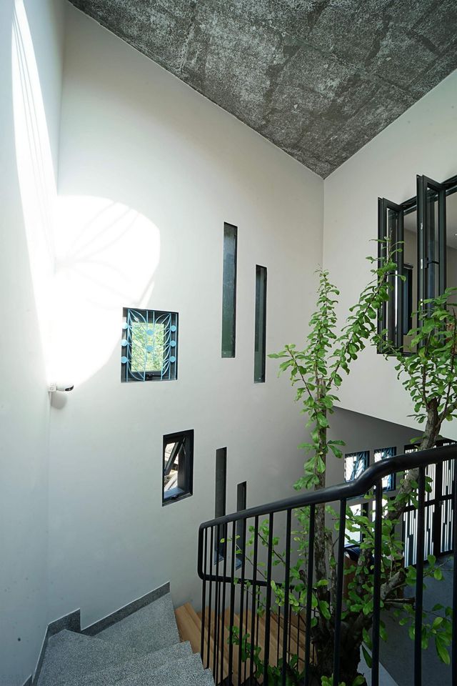 У В'єтнамі звели сучасний дім для любительки ромашок: ефектні фото - фото 390838