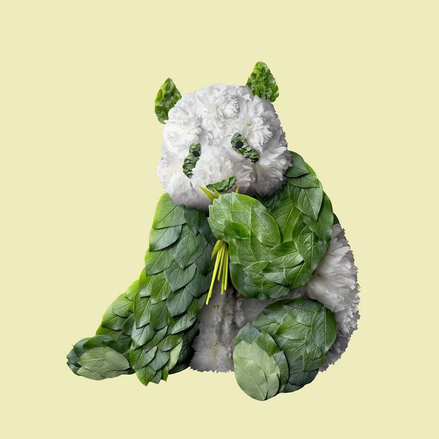 Художник створює неймовірні портрети тварин з квіткових композицій: вражаючі фото - фото 390990