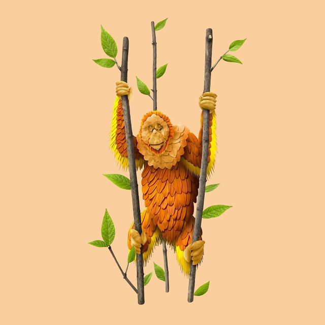 Художник створює неймовірні портрети тварин з квіткових композицій: вражаючі фото - фото 390991