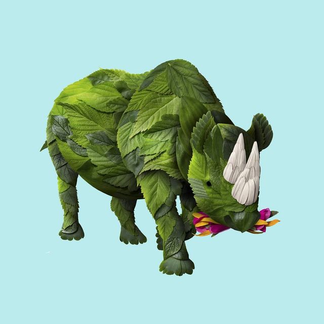 Художник створює неймовірні портрети тварин з квіткових композицій: вражаючі фото - фото 390992