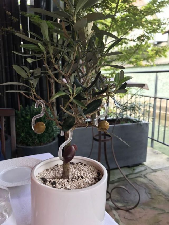 Дивно чи круто: незвичайна подача страв, яка викликає питання - фото 391025