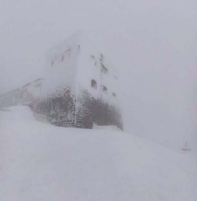 Ще не весна: у мережі показали покриті снігом Карпати - фото 391042