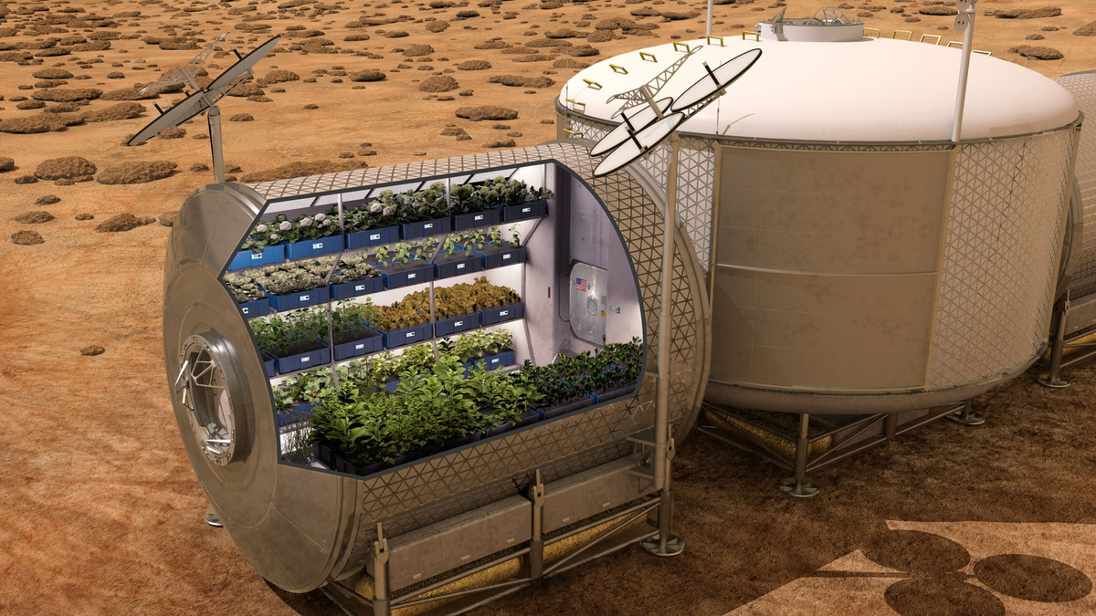 На МКС виростили салат, який майже не відрізняється від земного - фото 1