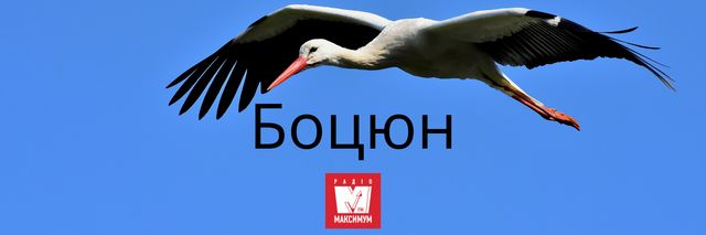 10 колоритних українських слів про весну, які збагатять ваше мовлення - фото 391162