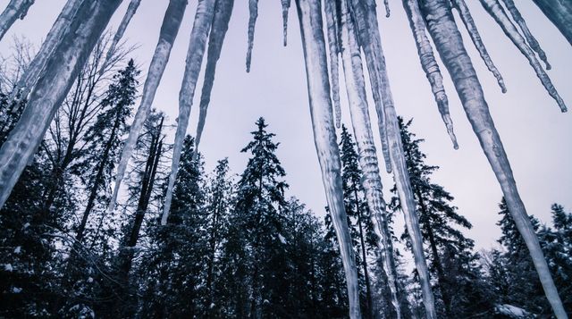 12 березня 2020 – яке сьогодні свято: традиції, заборони і прикмети - фото 391229