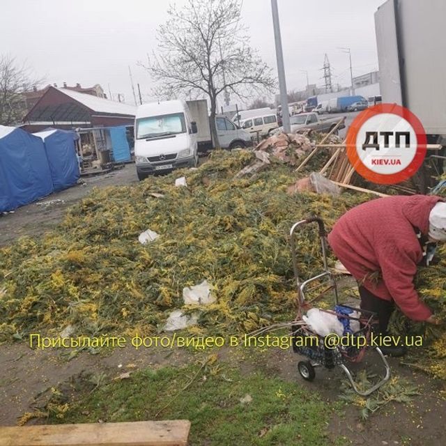 Звалище не проданих на 8 березня квітів показали у мережі - фото 391292