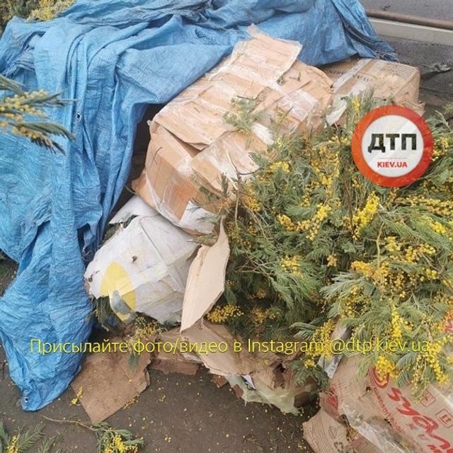 Звалище не проданих на 8 березня квітів показали у мережі - фото 391294
