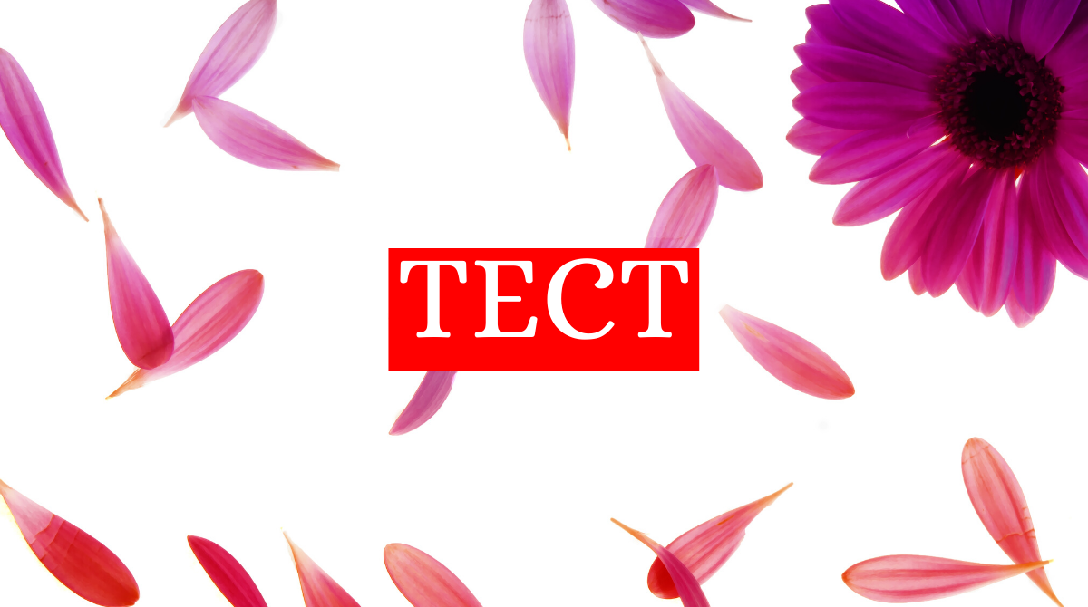 яка це квітка? - фото 1