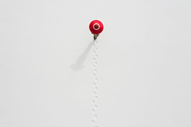 Фотопремія Sony визначила найкращі фото з різних кутків світу: кадри заворожують - фото 391875