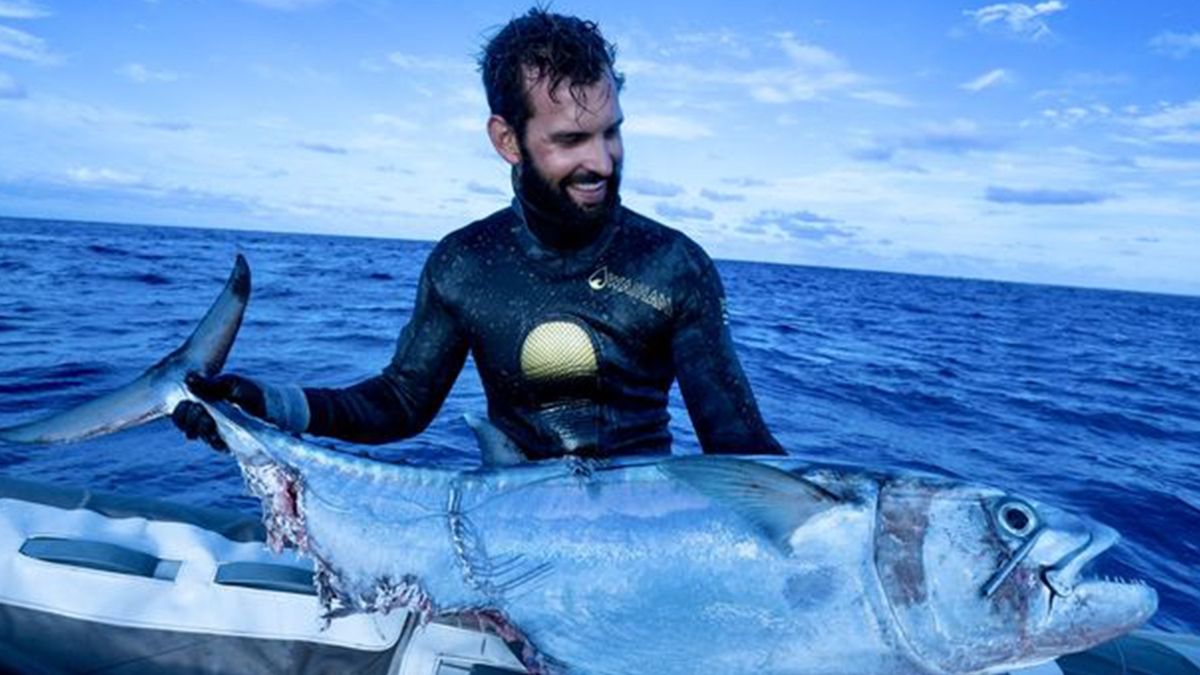 Як рибалка воював з трьома акулами за свій улов: епічне відео