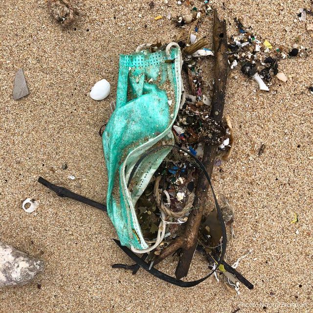 Використані захисні маски забруднили пляжі Гонконгу: промовисті фото - фото 392476