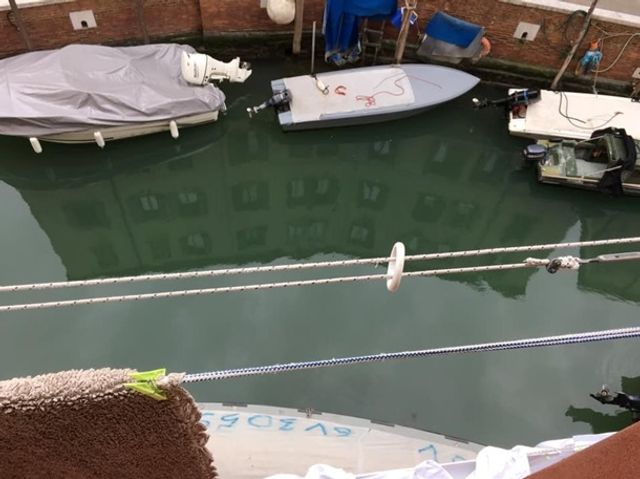 Безлюдні канали у Венеції стали дуже чистими: фотофакт - фото 392504