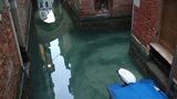 Безлюдні канали у Венеції стали дуже чистими: фотофакт