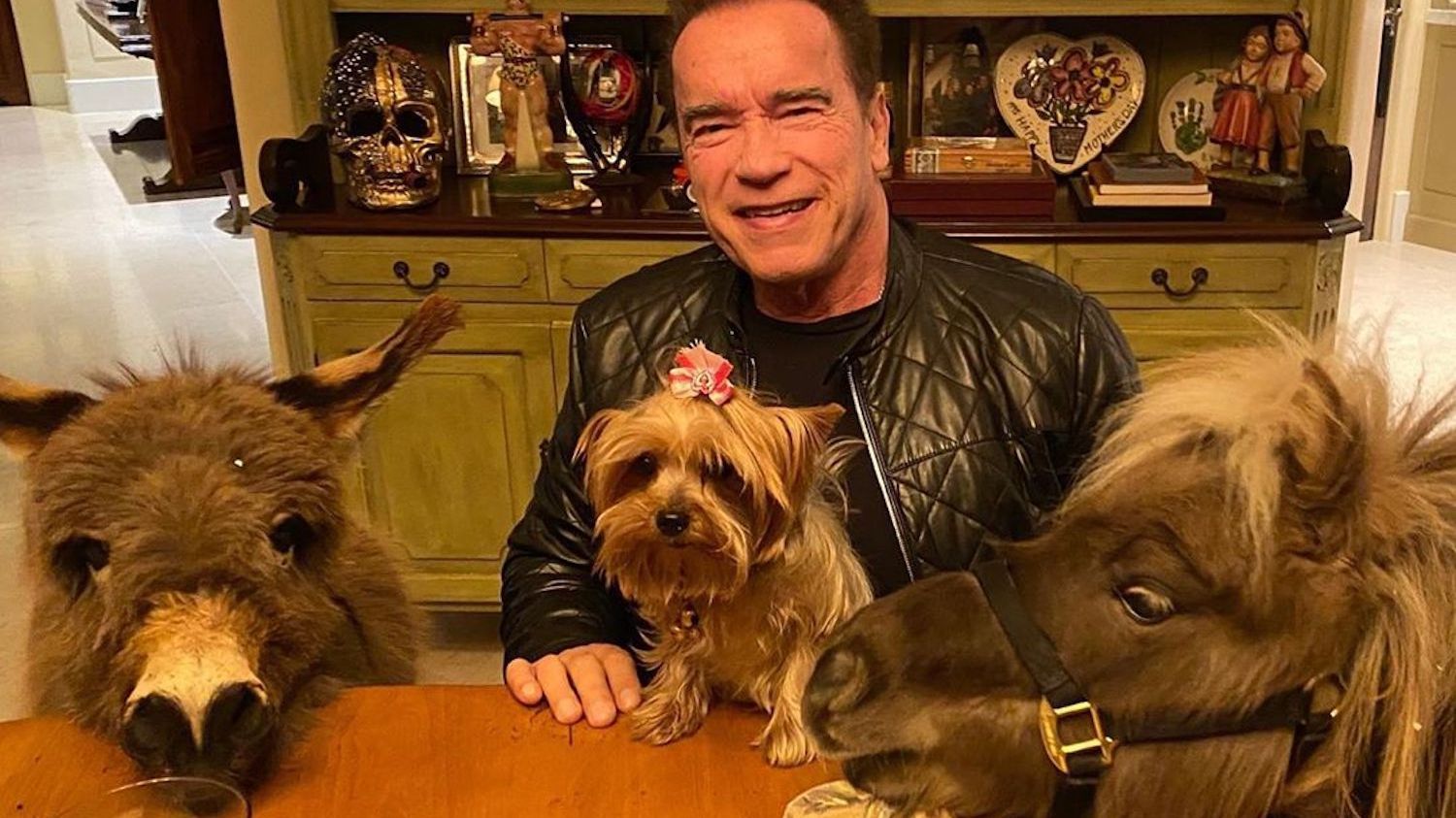 Будьте, як Арні: Шварценеггер показав, як правильно мити руки