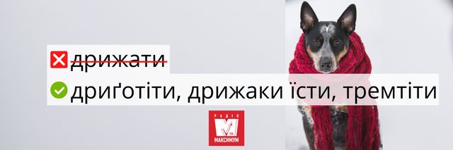 10 українських слів, які замінять поширені кальки з російської - фото 392974