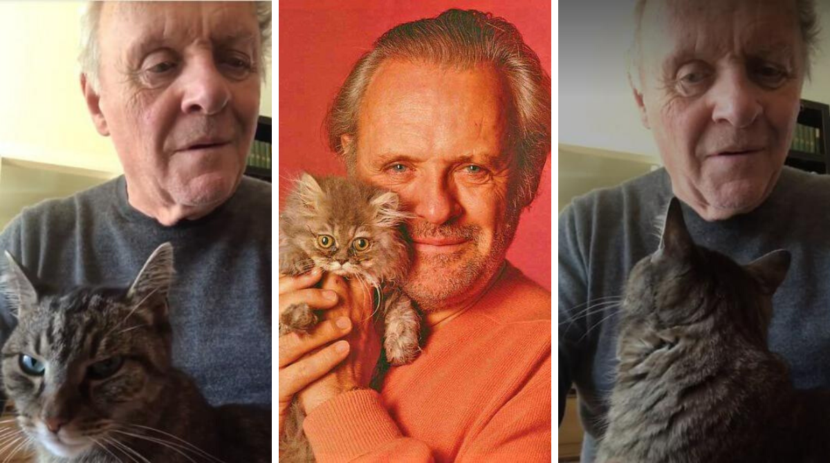 Ентоні Хопкінс показав, як розважається під час карантину зі своїм котом - фото 1