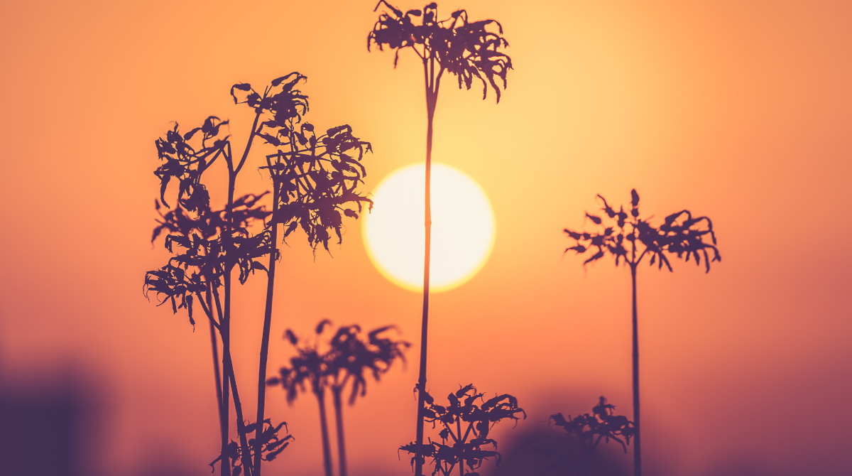 День весняного рівнодення: вплив на всі знаки зодіаку