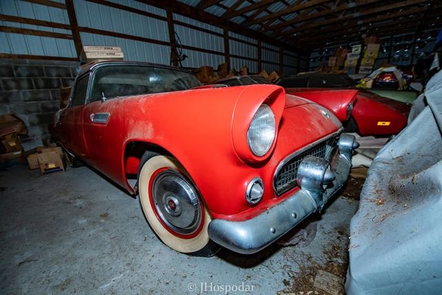 На складі під горою сміття знайшли 50 безцінних авто: фотофакт - фото 393262