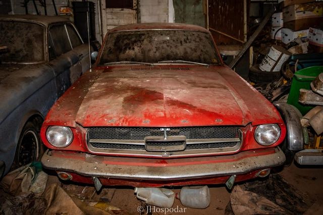 На складі під горою сміття знайшли 50 безцінних авто: фотофакт - фото 393266