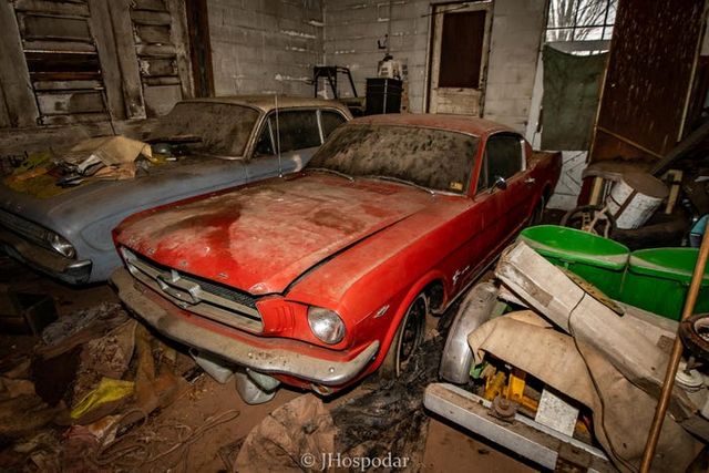 На складі під горою сміття знайшли 50 безцінних авто: фотофакт - фото 393269