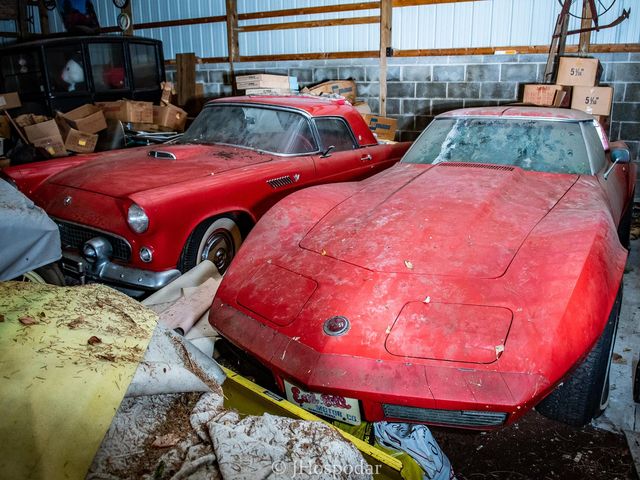 На складі під горою сміття знайшли 50 безцінних авто: фотофакт - фото 393280