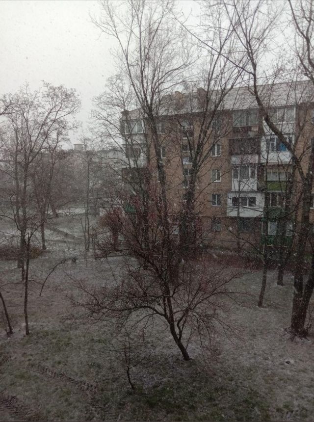 Україну засипало снігом: фото і відео аномалії - фото 393527