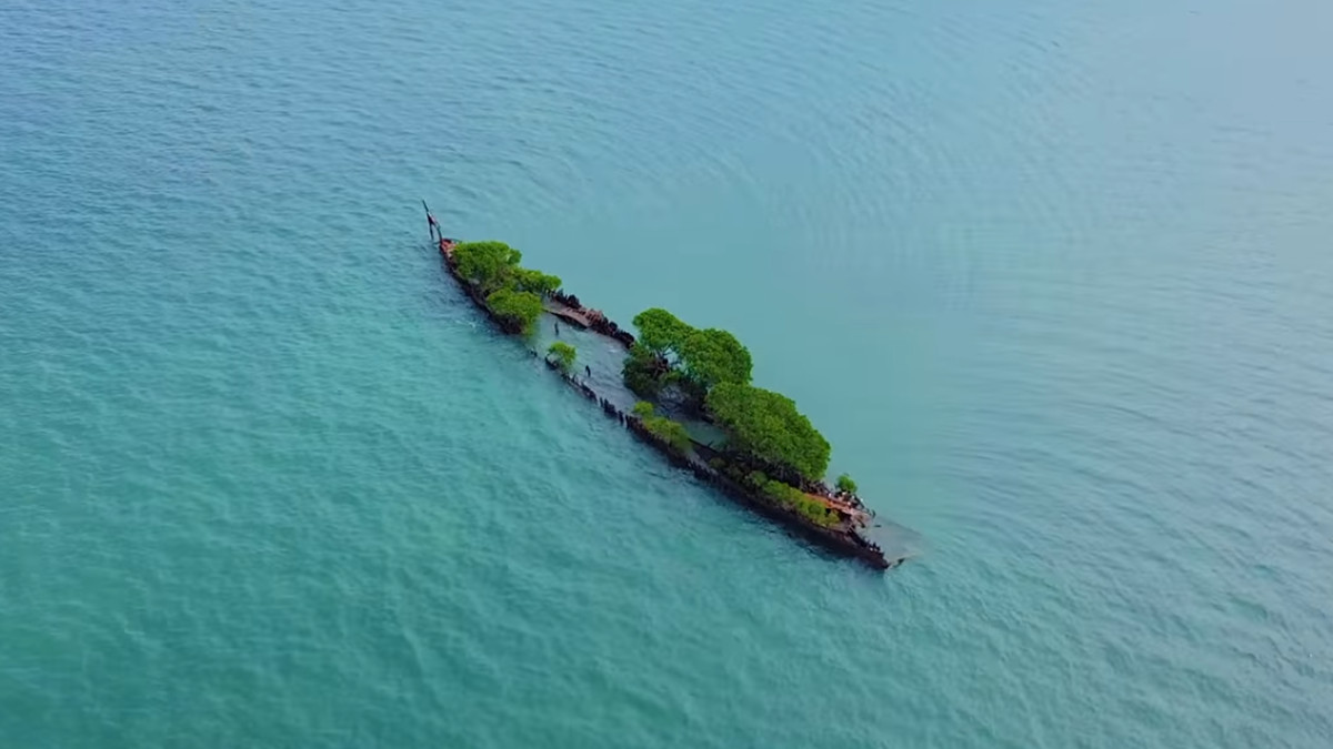 Покинутий корабель перетворився на острів: вражаюче відео - фото 1