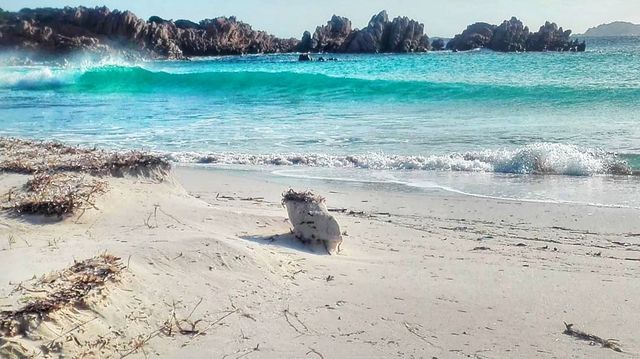 Італієць, який 30 років прожив на острові, розповів, як перенести самоізоляцію - фото 393923