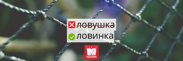 10 українських слів, які дуже влучно описують карантин - фото 393995