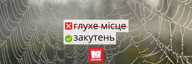 10 українських слів, які дуже влучно описують карантин - фото 393999