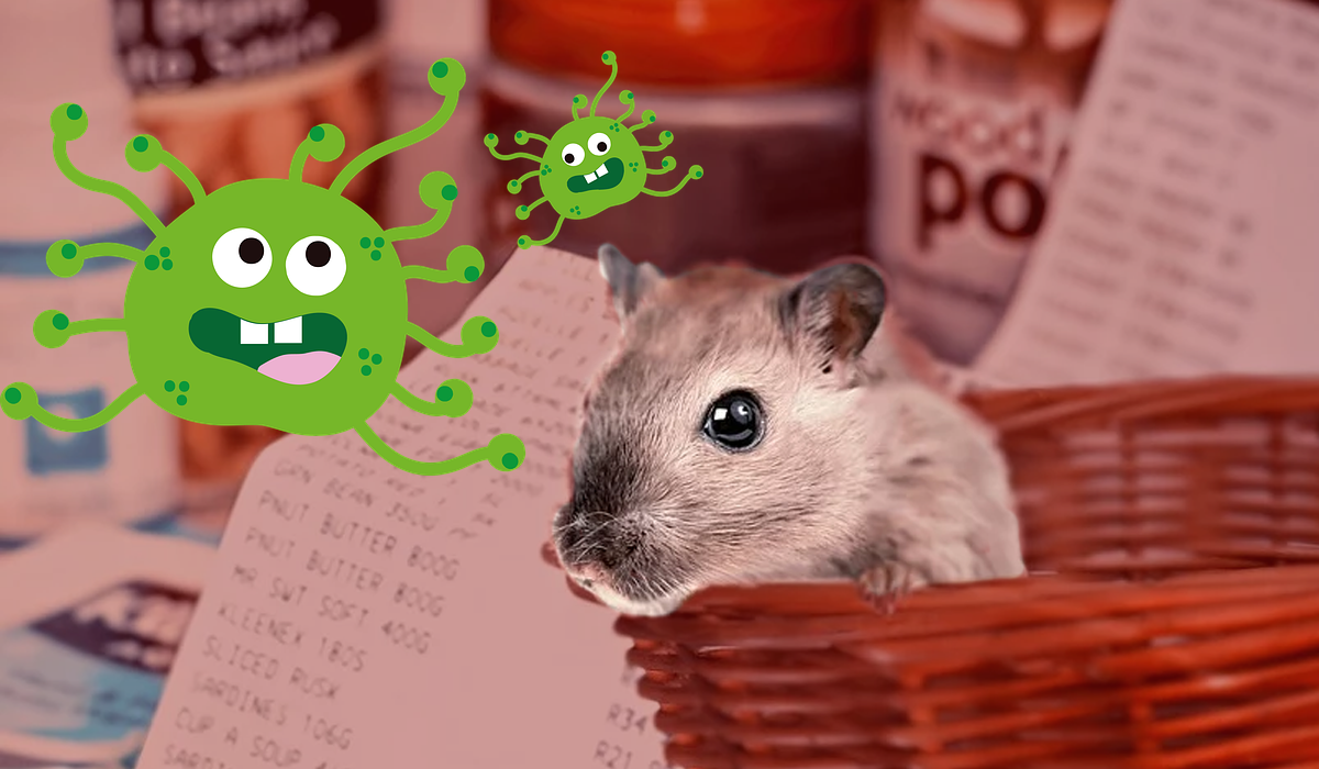 Хантавірус походить від гризунів - фото 1