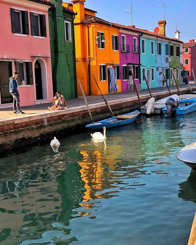 Лебеді у Бурано - фото 394267