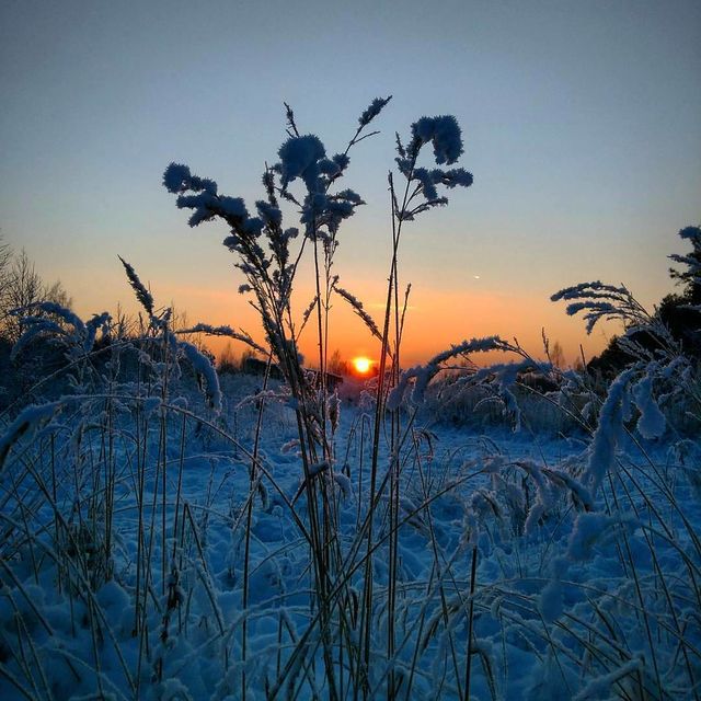 Весняний мороз- фото 394289