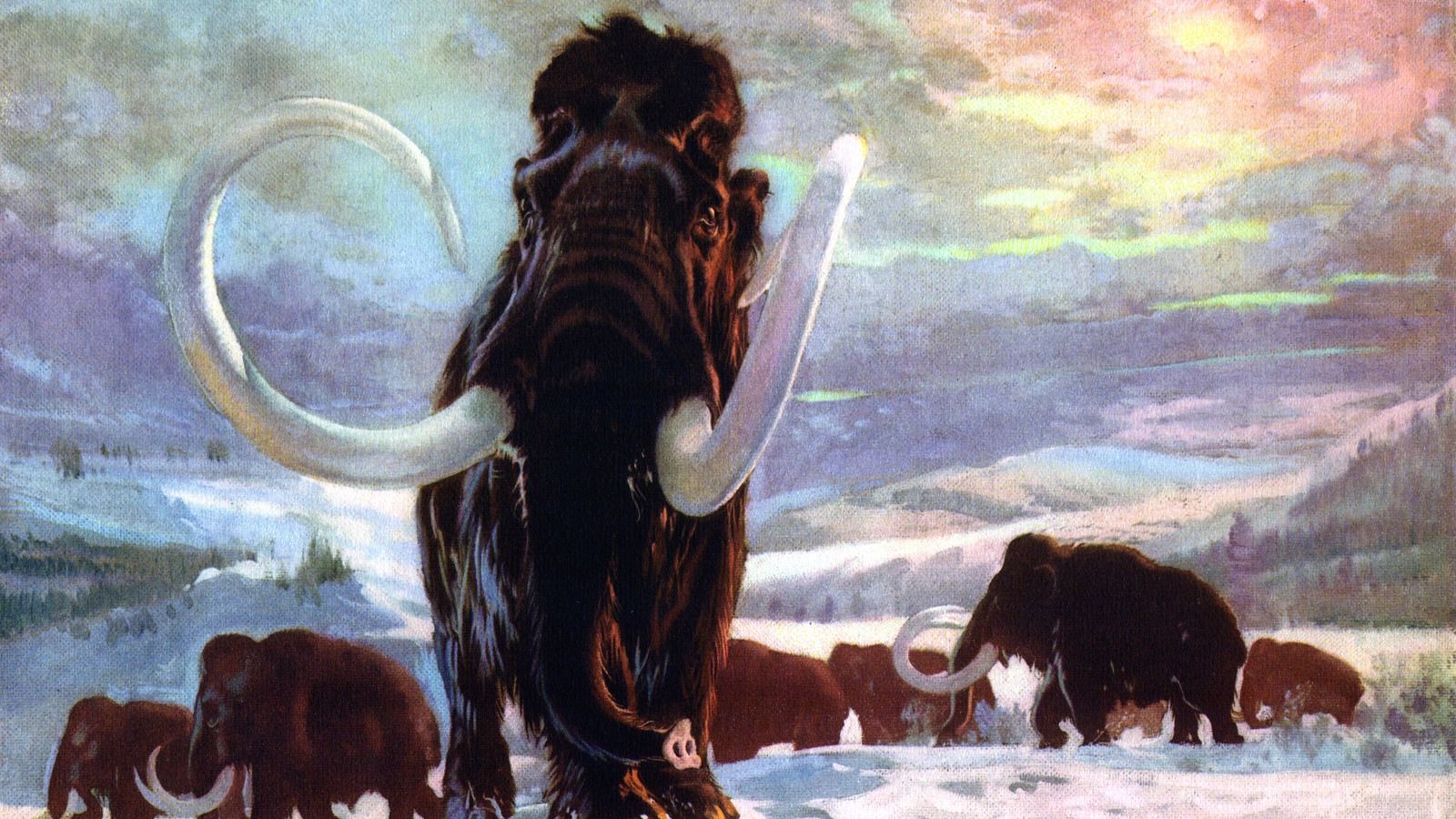 Археологи знайшли бивень мамонта завдовжки 2,5 метра